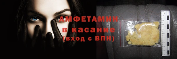 молекула духа Вяземский